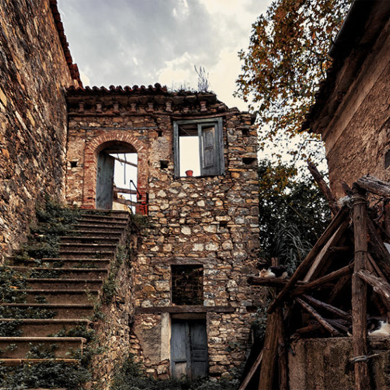 Rigenerazione