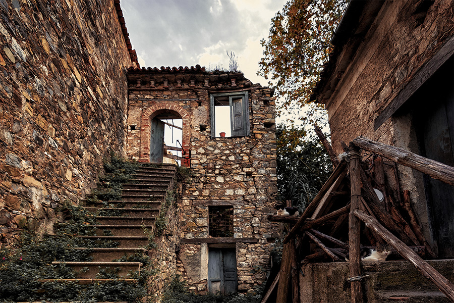 Rigenerazione